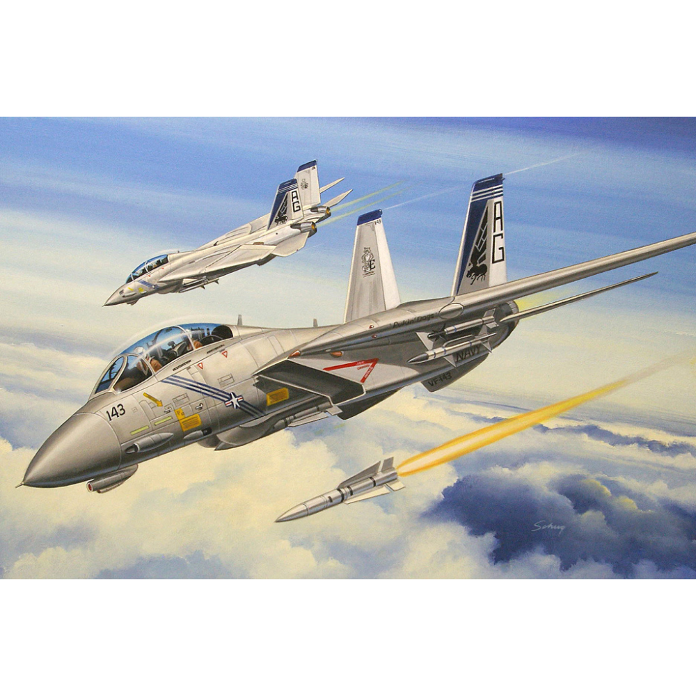 F-14B Tomcat 1:72